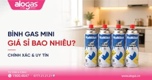 Bình gas mini giá sỉ bao nhiêu? Bình gas mini NaMilux